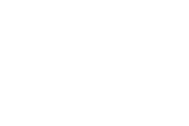 ENCORE Componentes